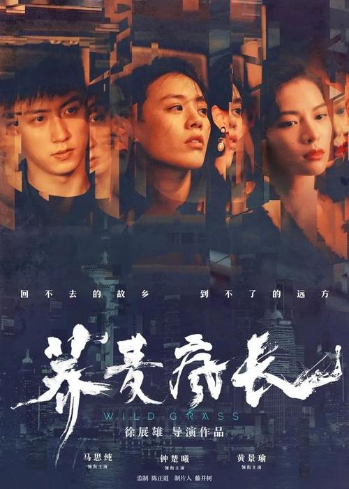 怎么办假瑞典